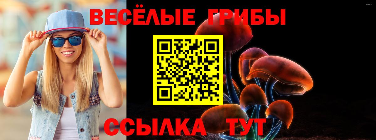 Псилоцибиновые грибы Psilocybe Коркино